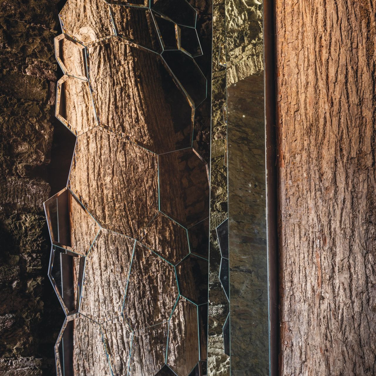   Jubil&eacute; . Jeu de r&eacute;flexions entre le miroir et l'&oelig;uvre "The Tree of Ama" de Michelangelo Pistoletto. 
