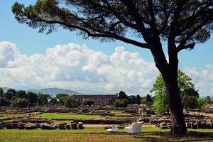  Chiara. Der Sessel blickt auf die stimmungsvolle arch&auml;ologische St&auml;tte von Paestum, der antiken Stadt der Magna Graecia. 